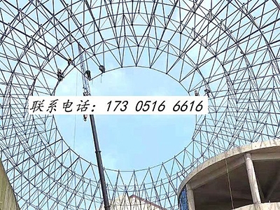 江苏樟树中央大街球形网架
